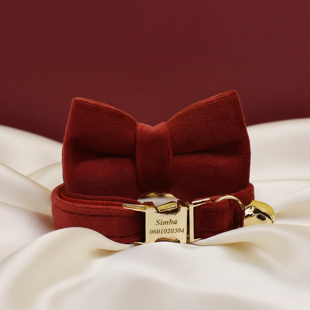 Collier Chat Personnalisé Velours - Rouge Passion