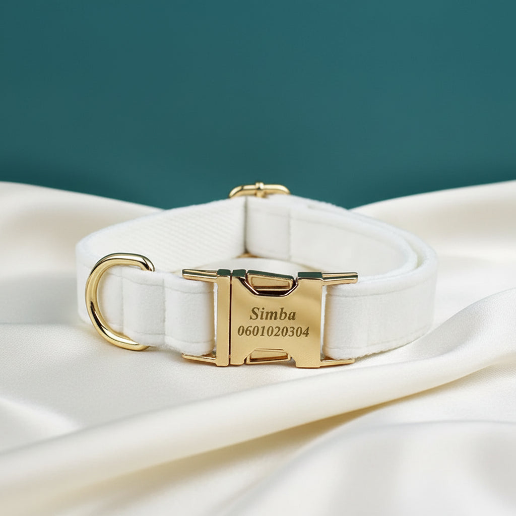 Collier Chien Personnalisé - Blanc Crème