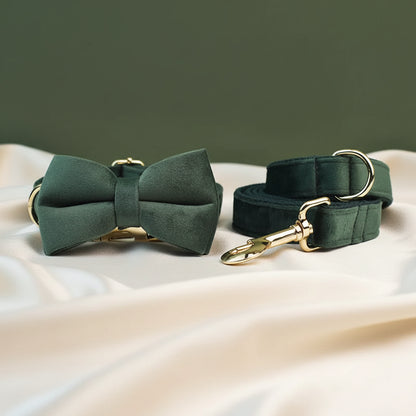 Collier Chien Personnalisé - Vert Émeraude