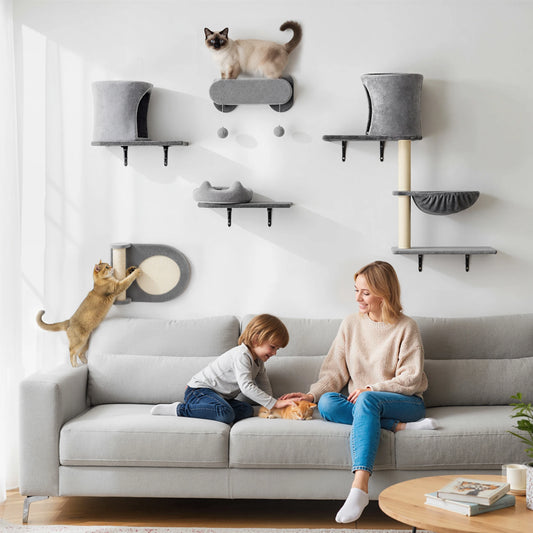 Set de 5 pièces - Parcours mural complet pour chat