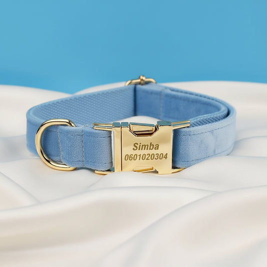 Collier Chien Personnalisé - Bleu Ciel