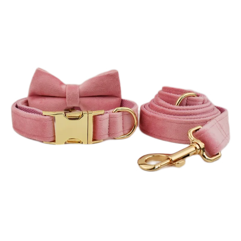 Collier Chien Personnalisé - Rose Poudré