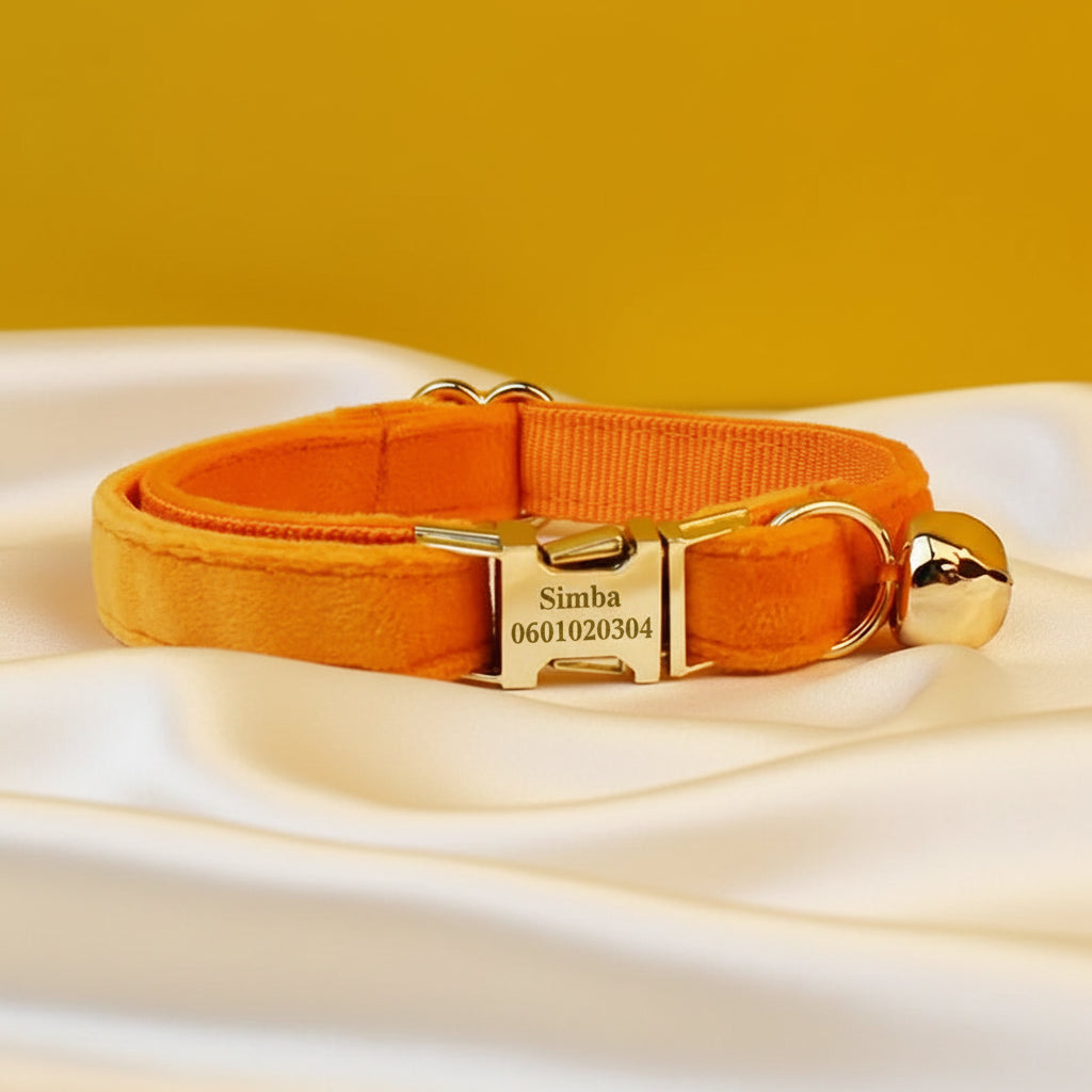 Collier Chat Personnalisé Velours - Orange Cuivré