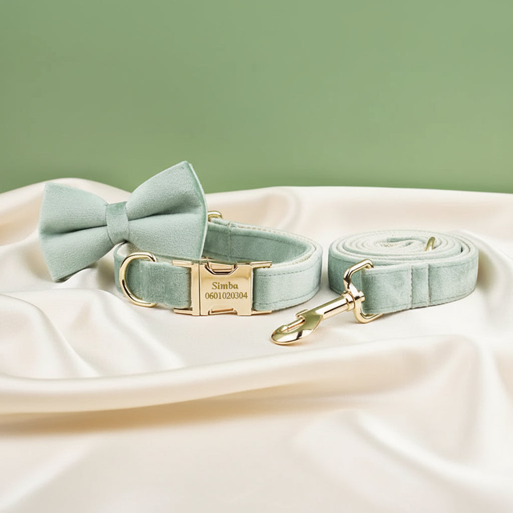Collier Chien Personnalisé - Vert Sauge