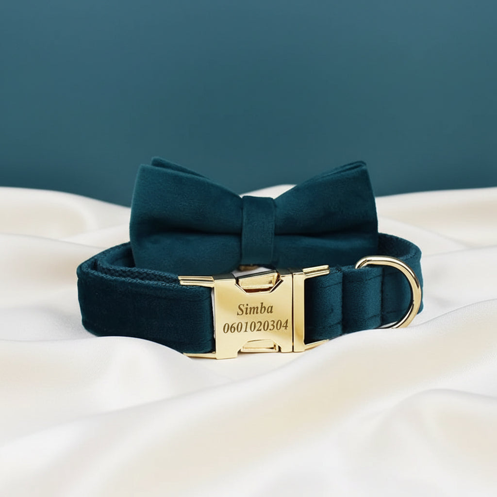 Collier Chien Personnalisé - Bleu Canard