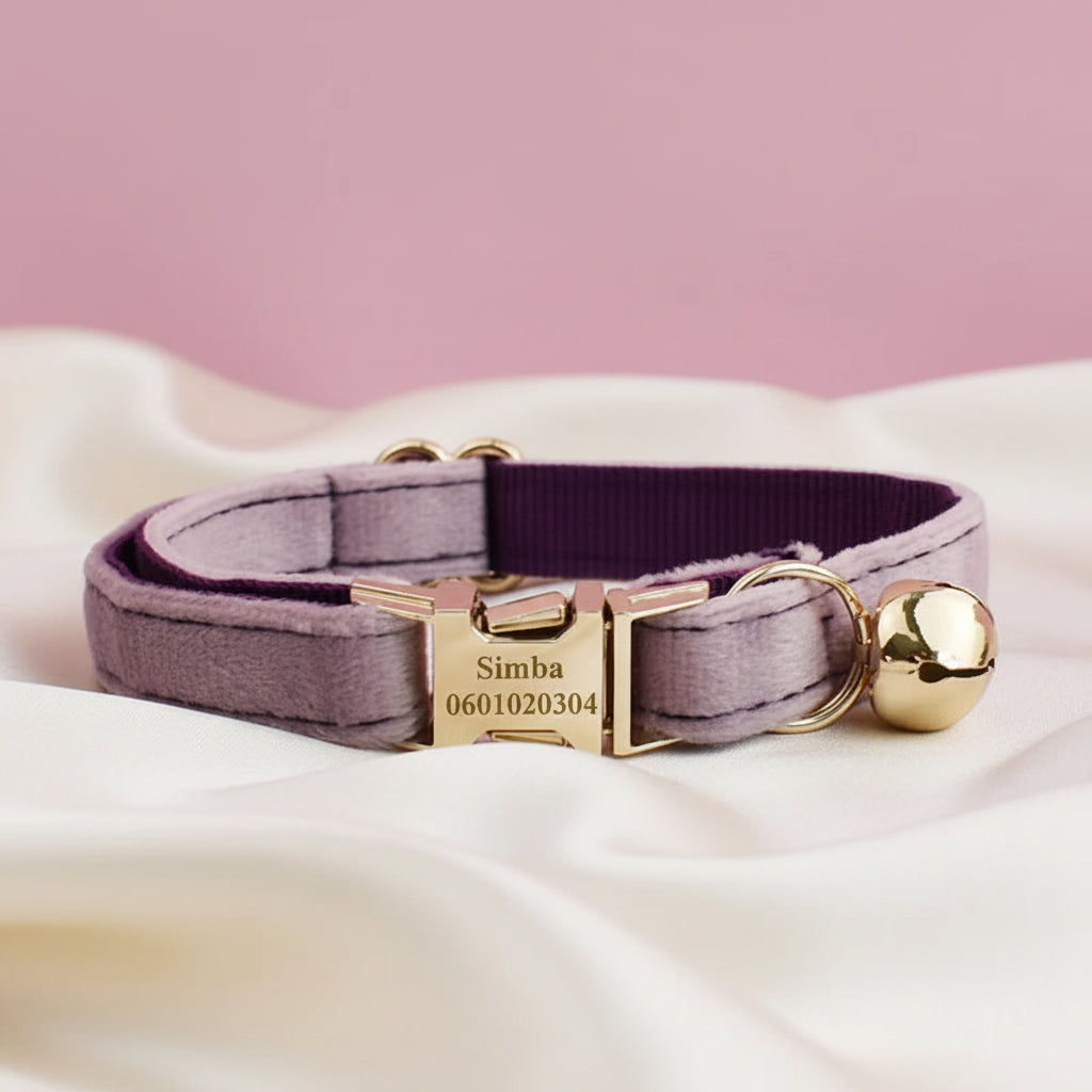Collier Chat Personnalisé Velours - Violet Lilas