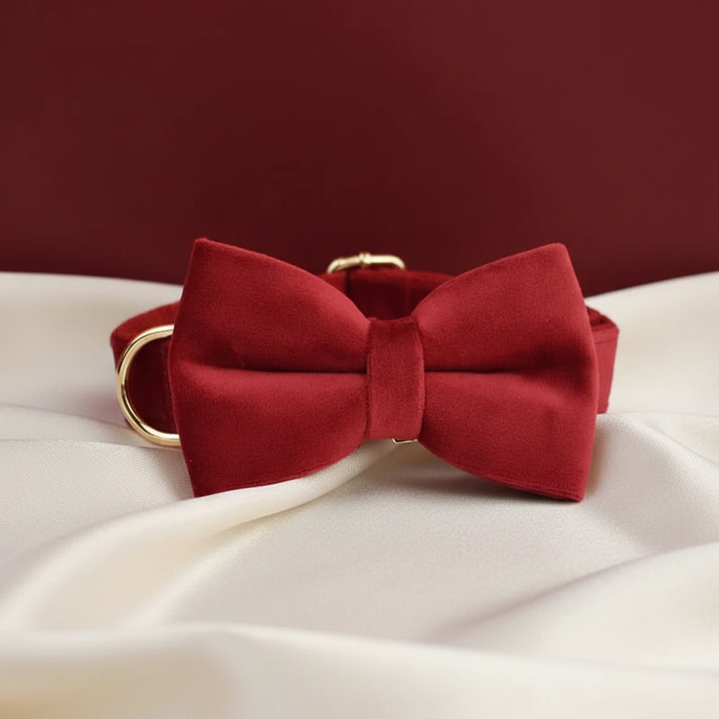 Collier Chien Personnalisé - Rouge Passion