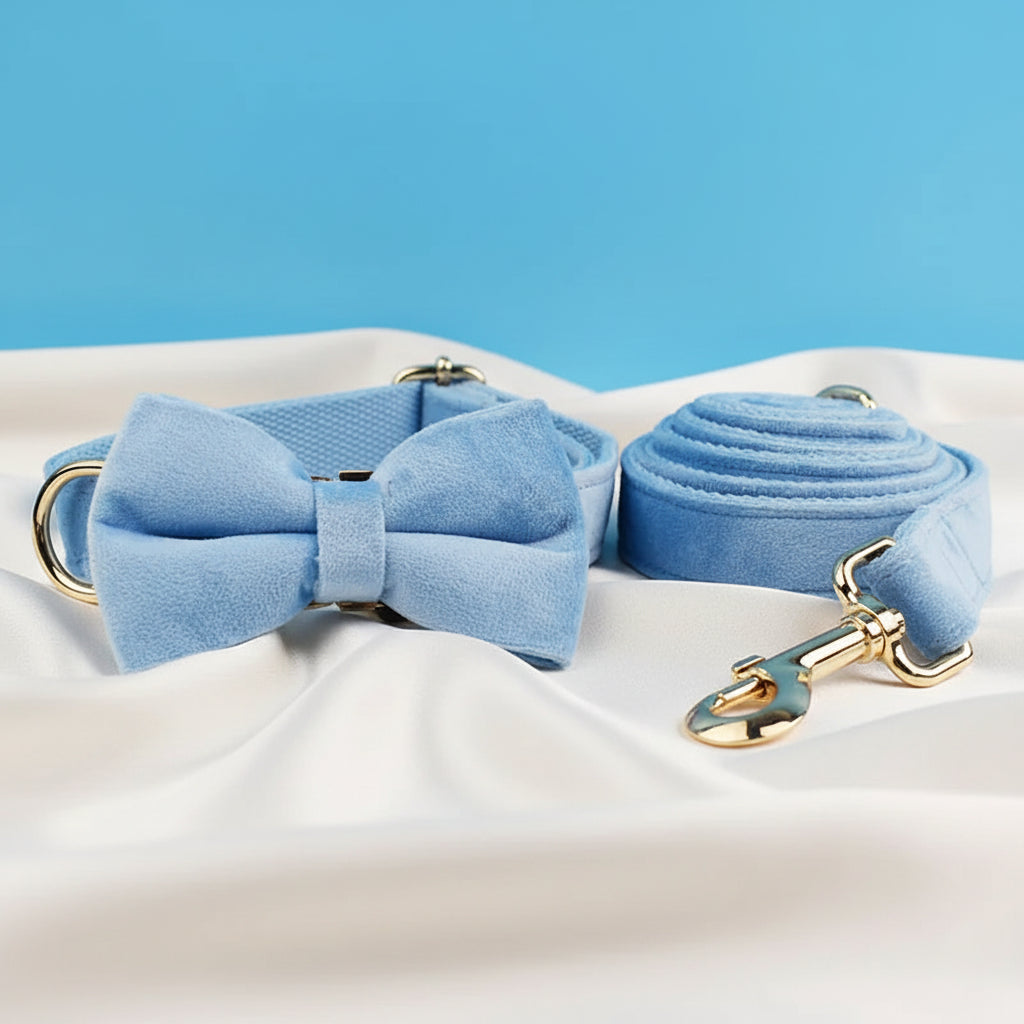 Collier Chien Personnalisé - Bleu Ciel