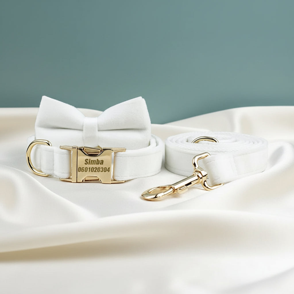 Collier Chien Personnalisé - Blanc Crème