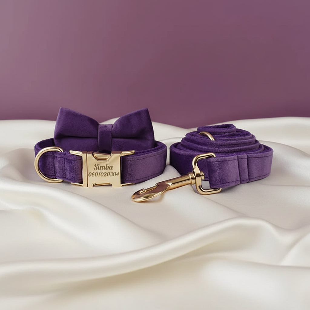 Collier Chien Personnalisé - Violet Majesté