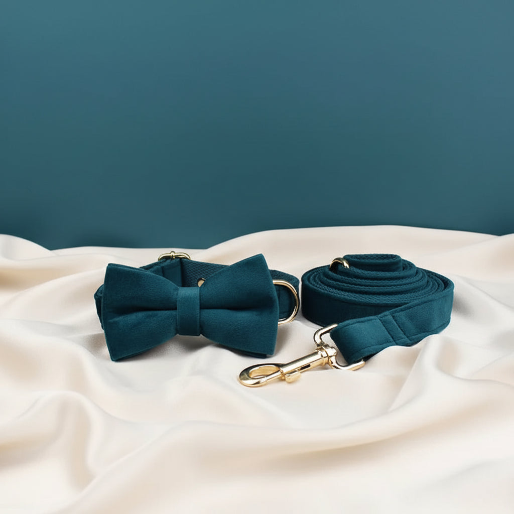 Collier Chien Personnalisé - Bleu Canard