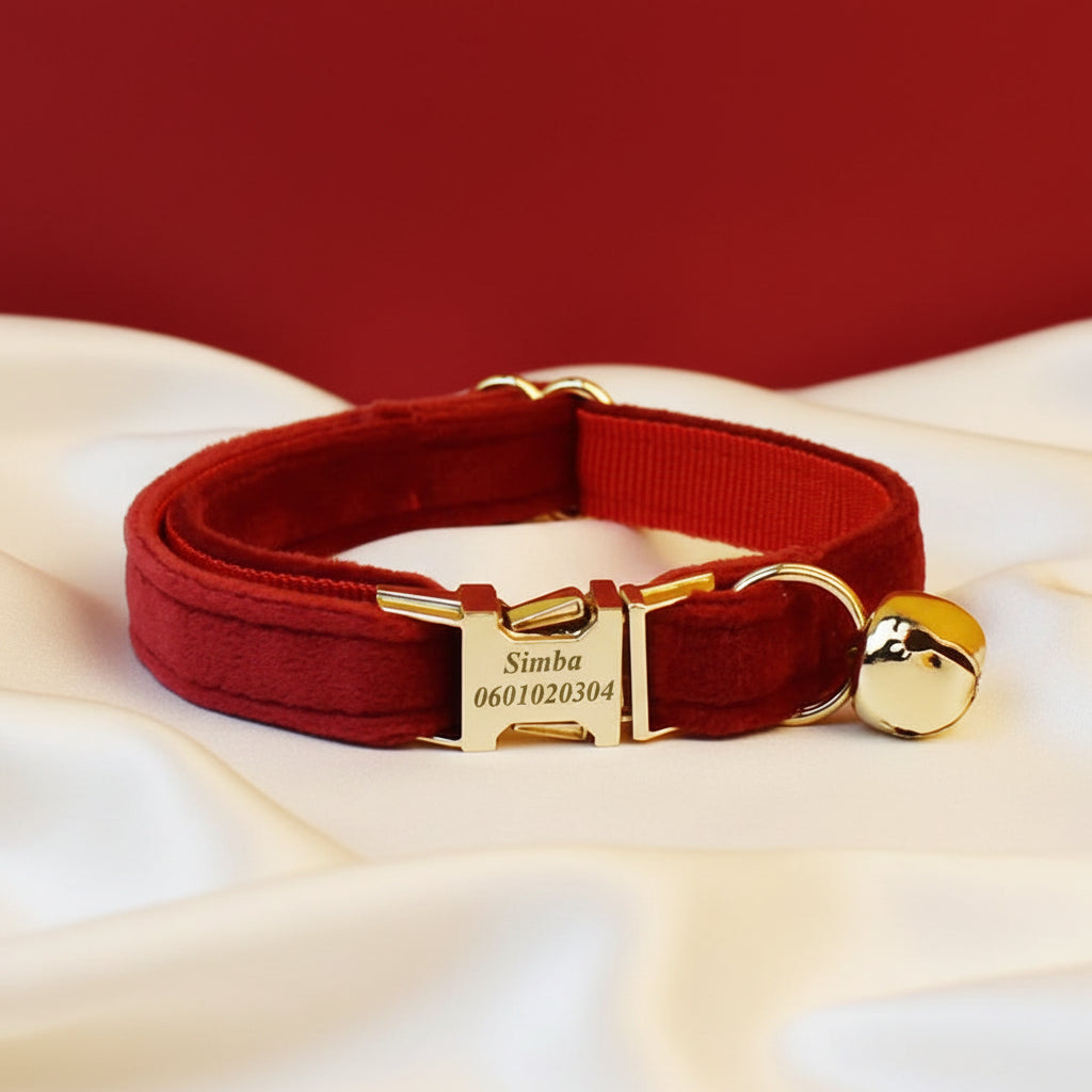 Collier Chat Personnalisé Velours - Rouge Passion