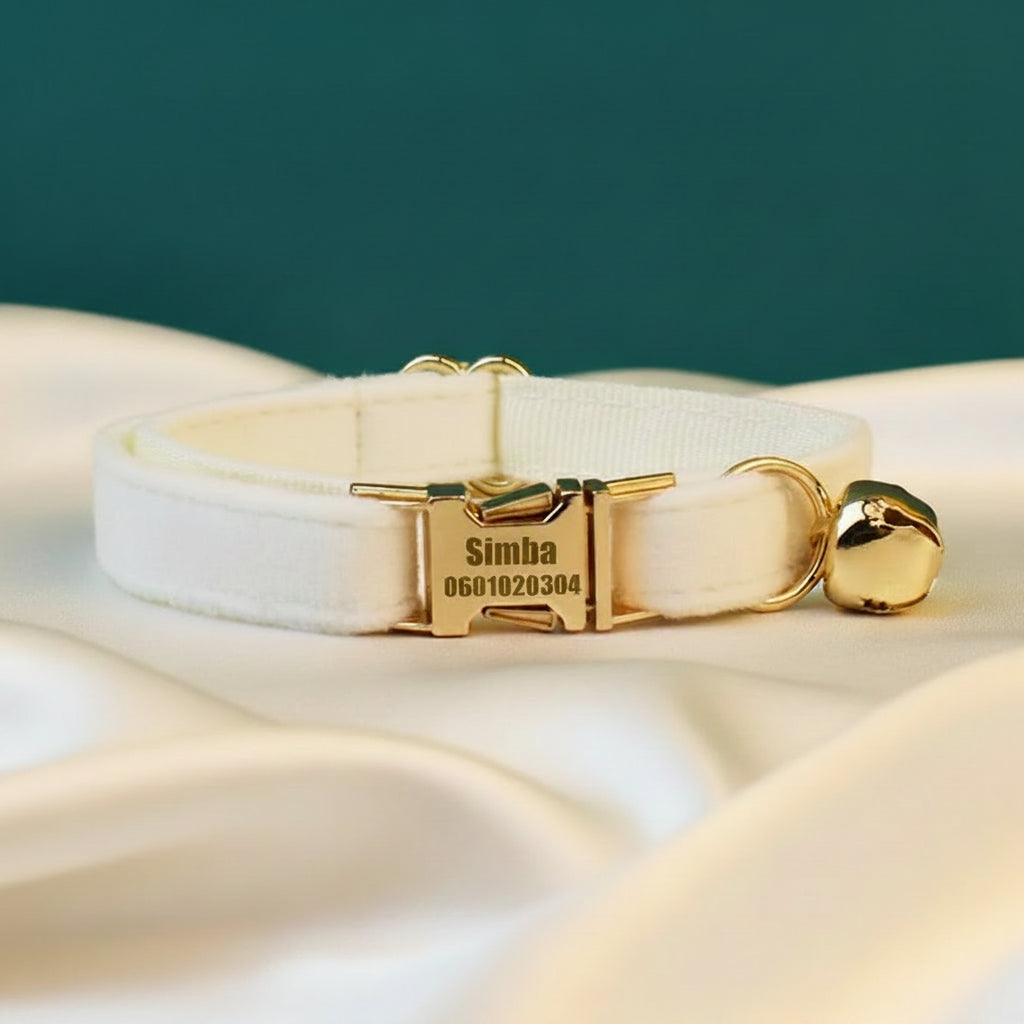 Collier Chat Personnalisé Velours - Blanc Crème