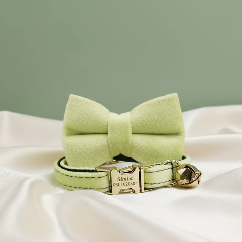 Collier Chat Personnalisé Velours - Vert Citronnade