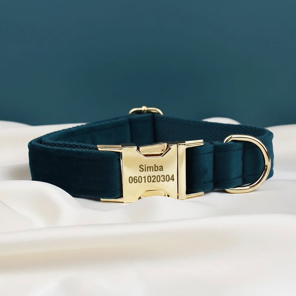 Collier Chien Personnalisé - Bleu Canard