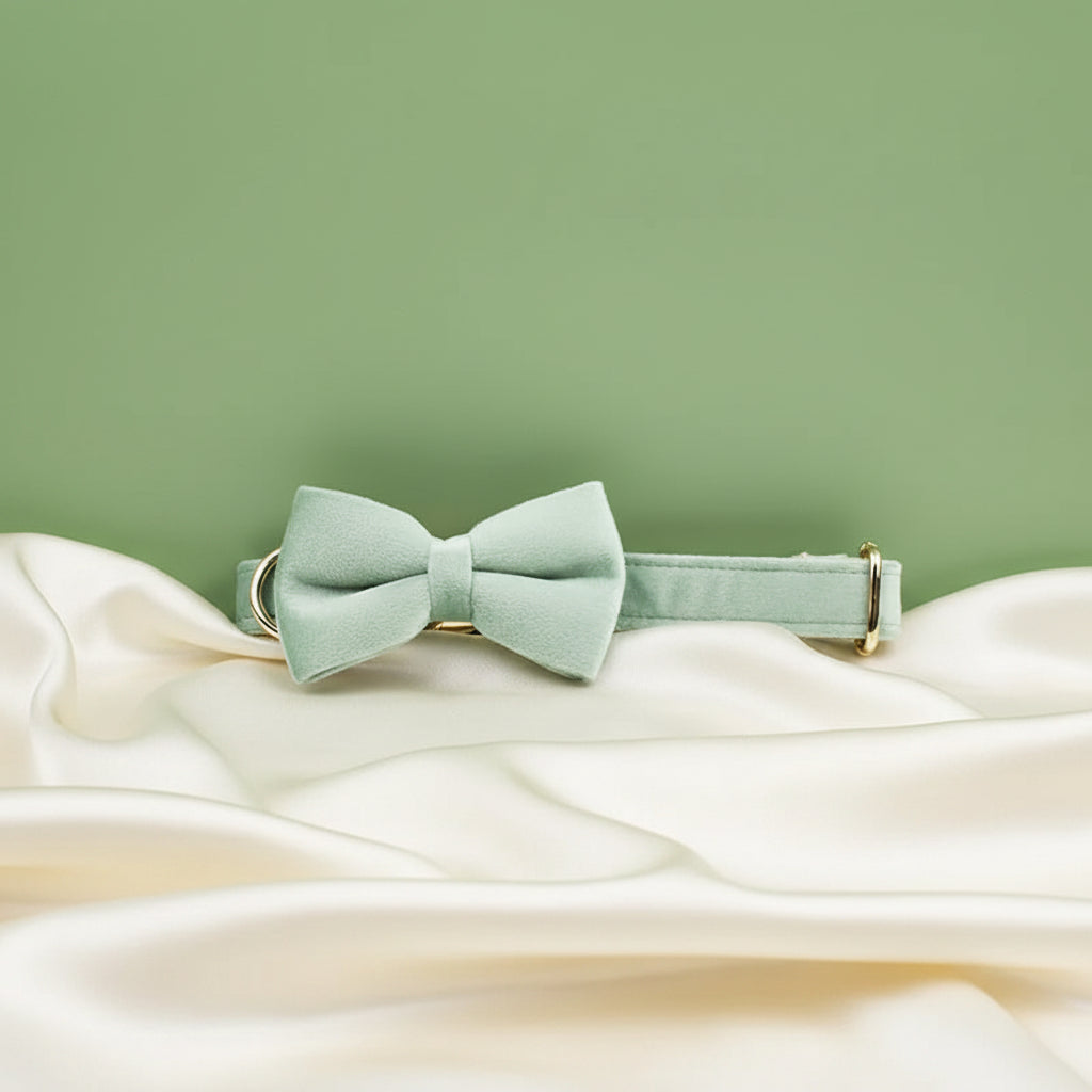 Collier Chien Personnalisé - Vert Sauge