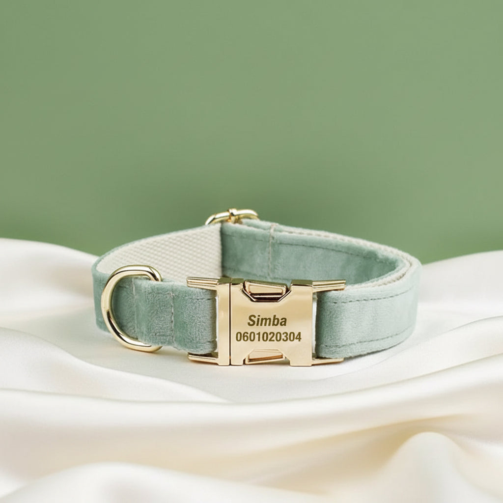 Collier Chien Personnalisé - Vert Sauge