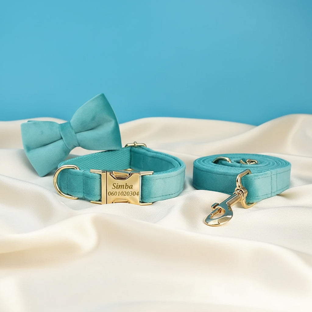 Collier Chien Personnalisé - Turquoise Lagon