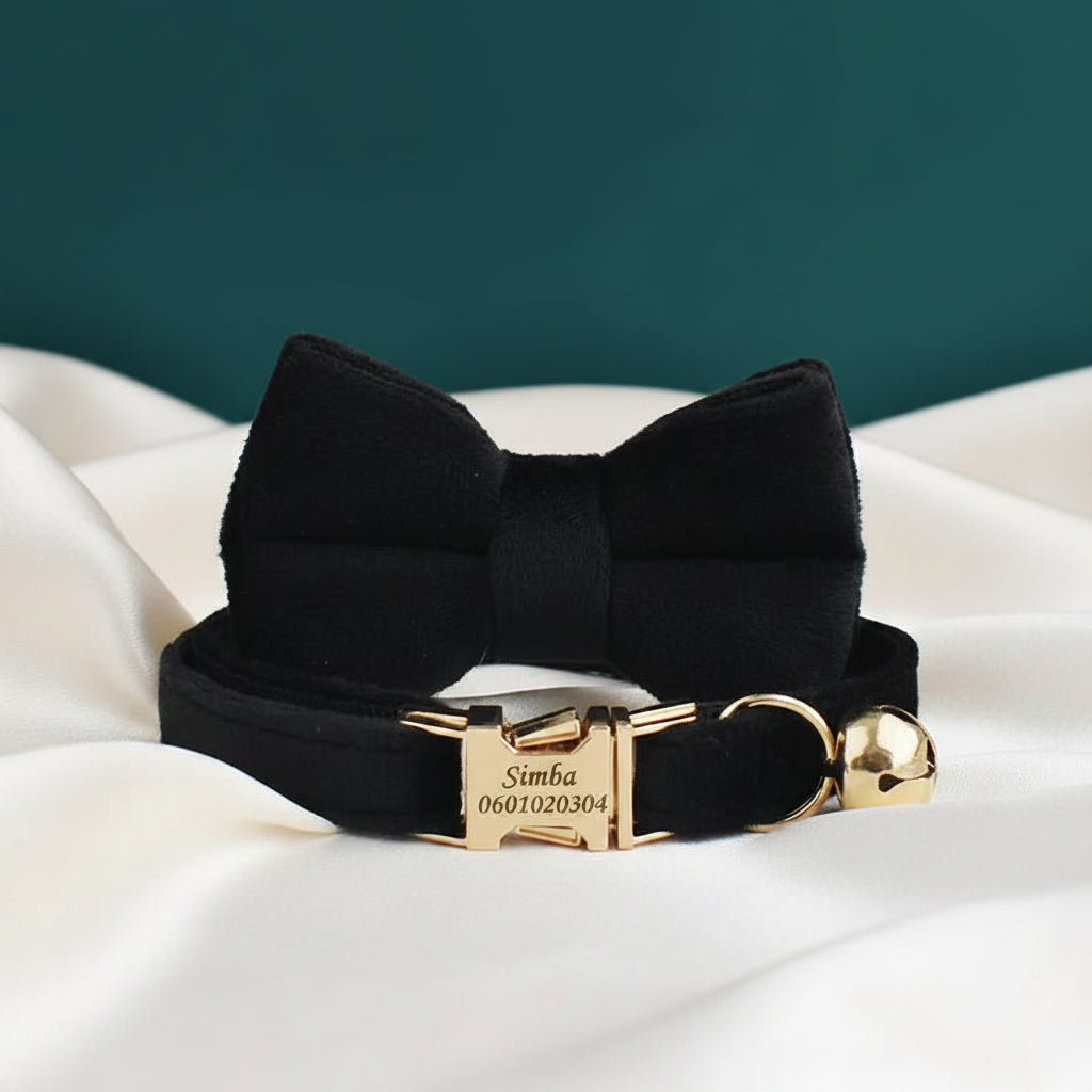 Collier Chat Personnalisé Velours - Noir Intense