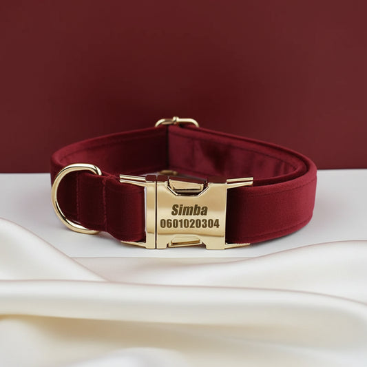 Collier Chien Personnalisé - Rouge Passion
