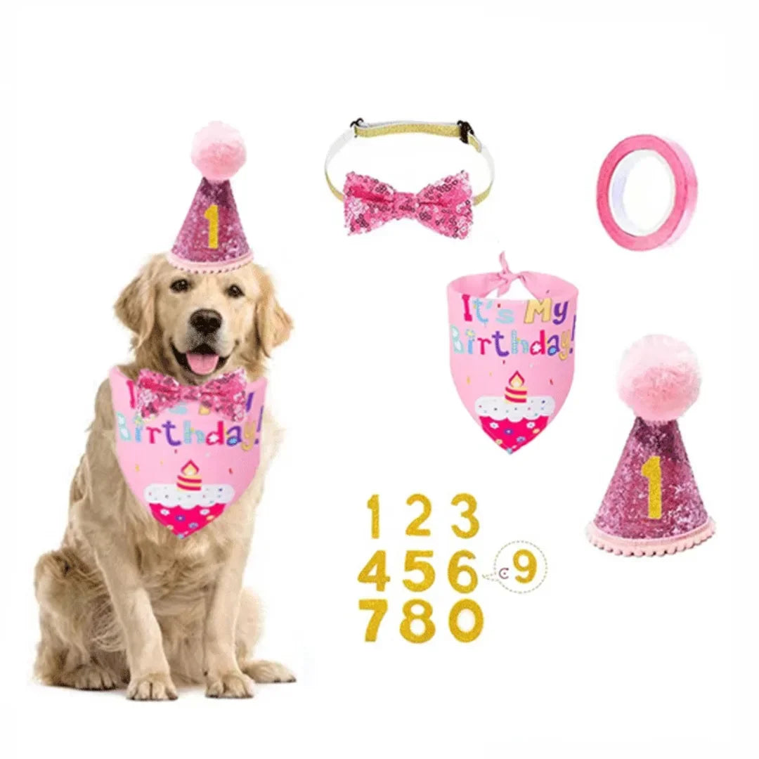 Kit anniversaire pour animaux