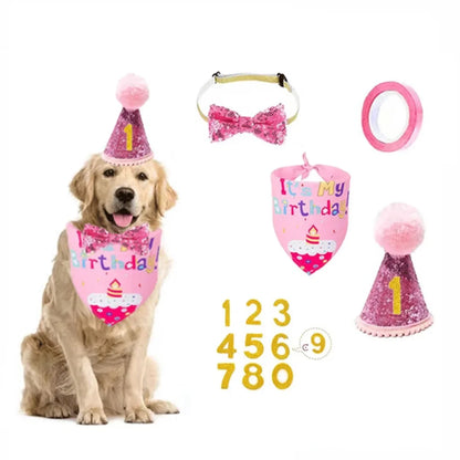Kit anniversaire pour animaux