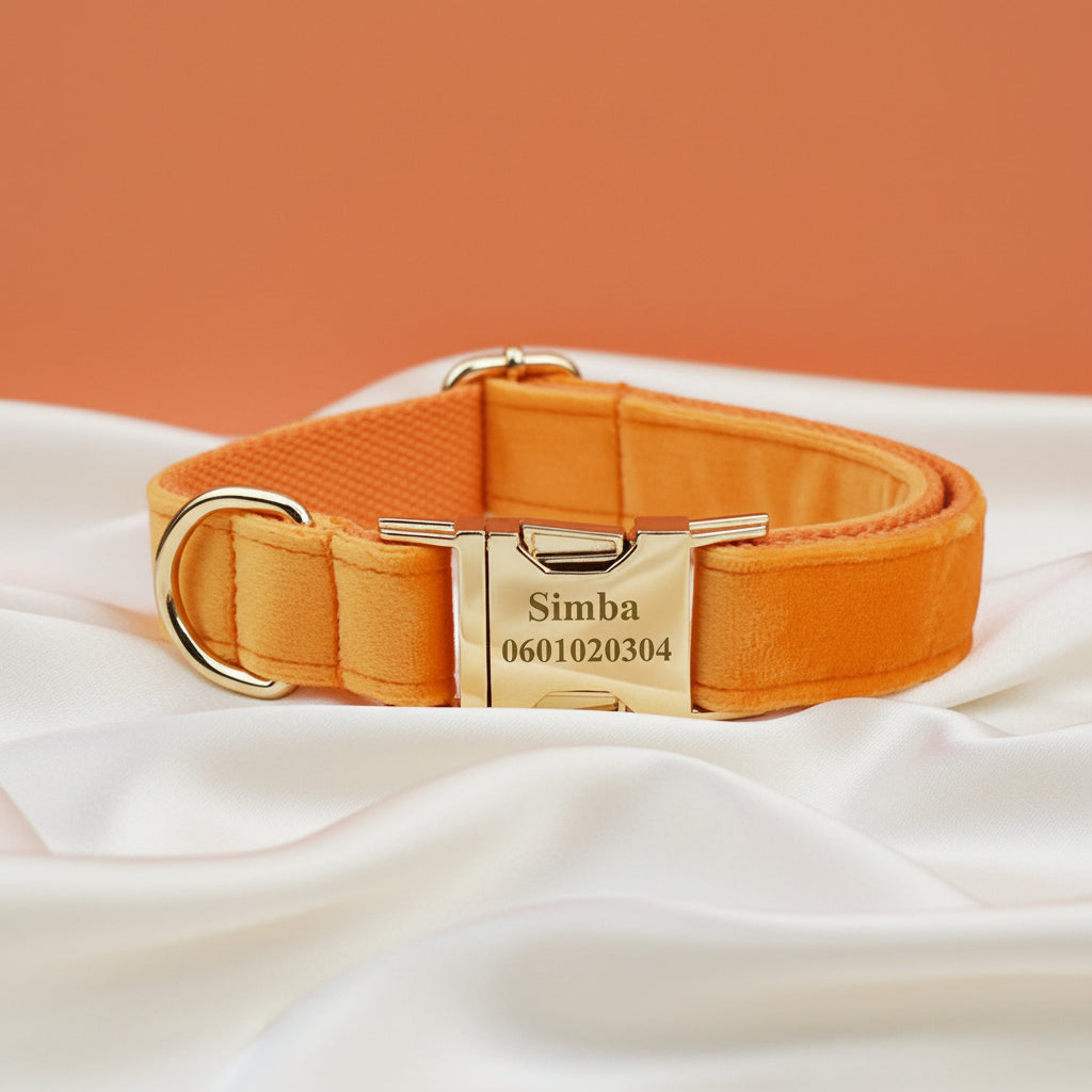 Collier Chien Personnalisé - Orange