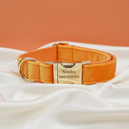 Collier Chien Personnalisé - Orange