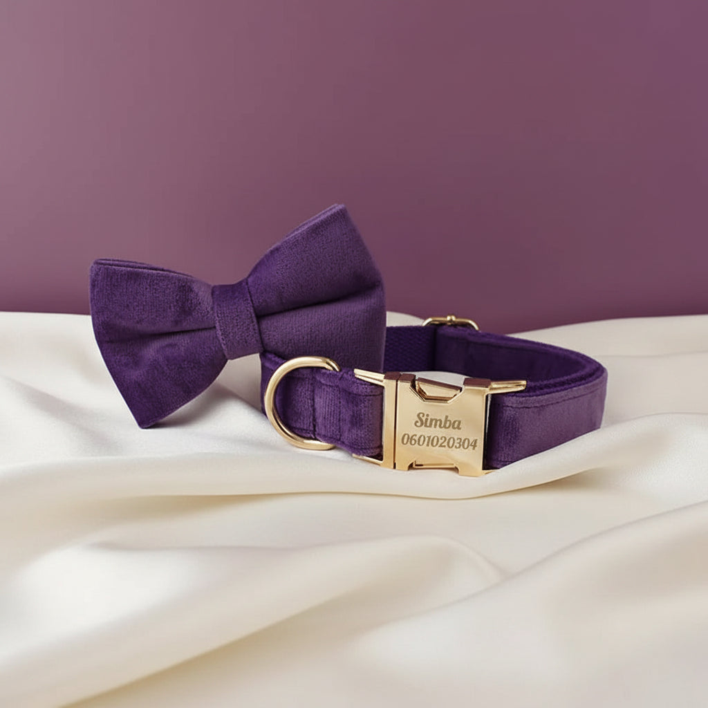 Collier Chien Personnalisé - Violet Majesté