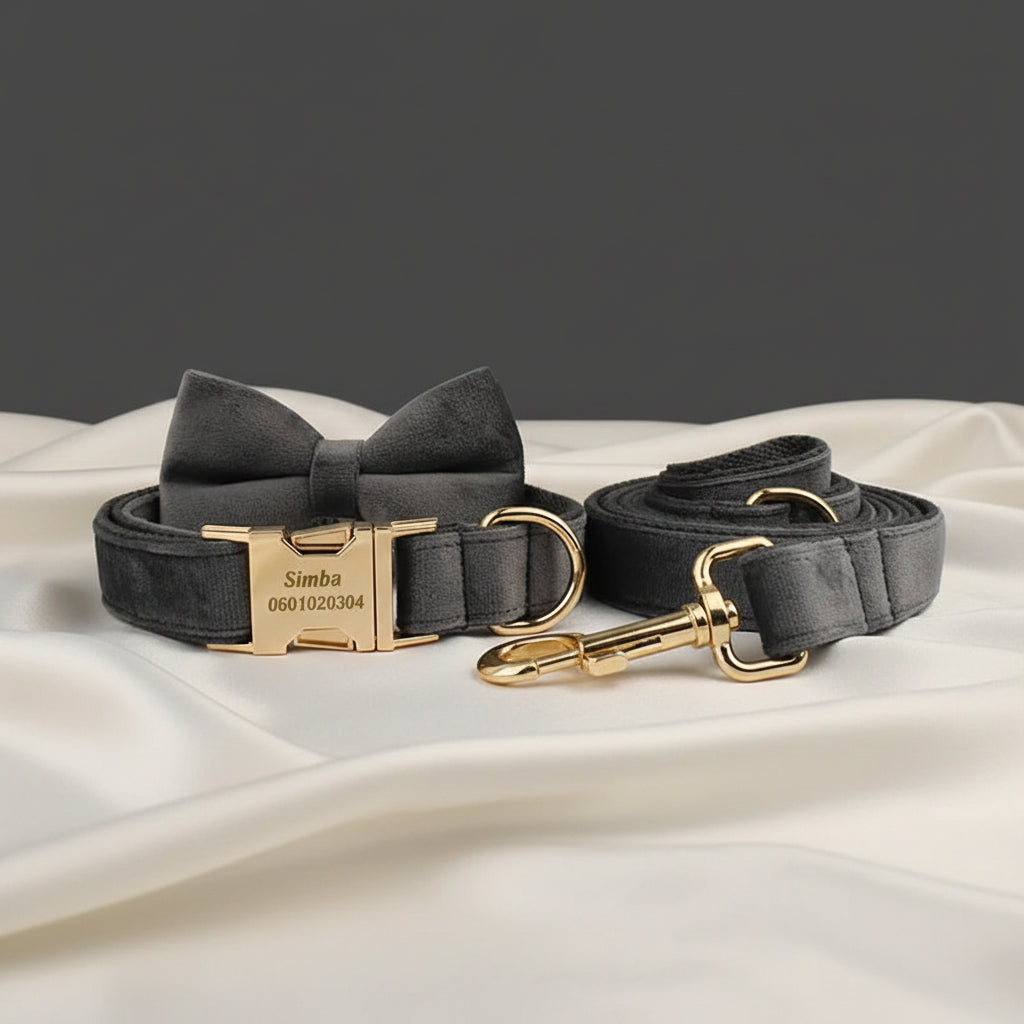 Collier Chien Personnalisé - Gris Souris