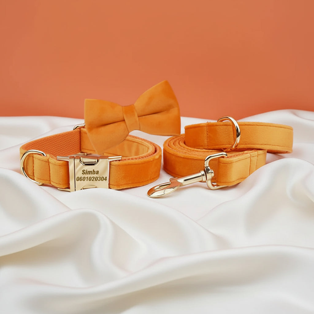 Collier Chien Personnalisé - Orange