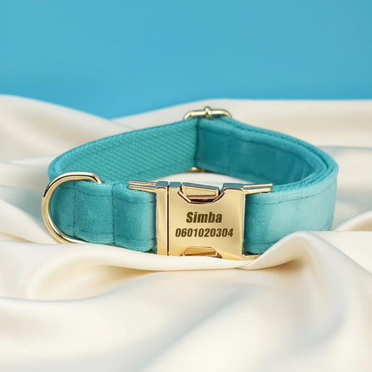 Collier Chien Personnalisé - Turquoise Lagon