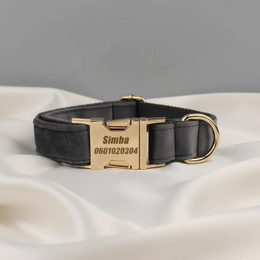 Collier Chien Personnalisé - Gris Souris