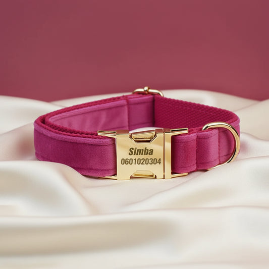 Collier Chien Personnalisé - Rose Fuchsia