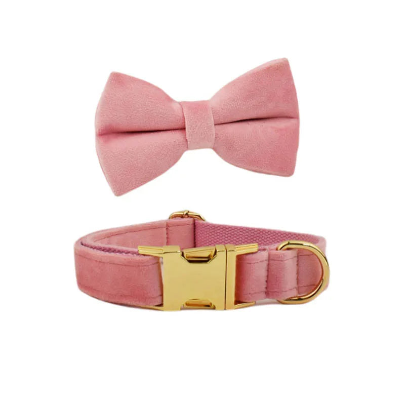 Collier Chien Personnalisé - Rose Poudré