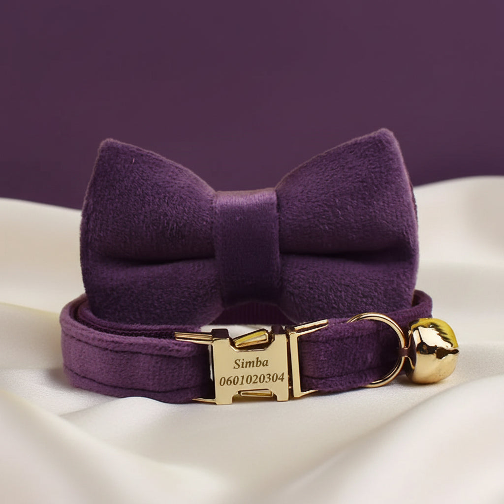 Collier Chat Personnalisé Velours - Violet Royal