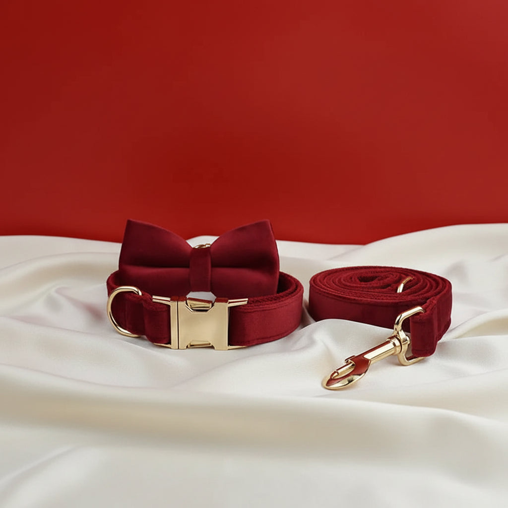 Collier Chien Personnalisé - Rouge Passion