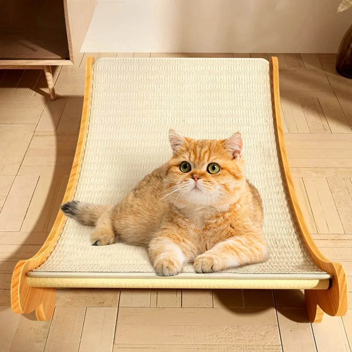 Transat confortable pour chat