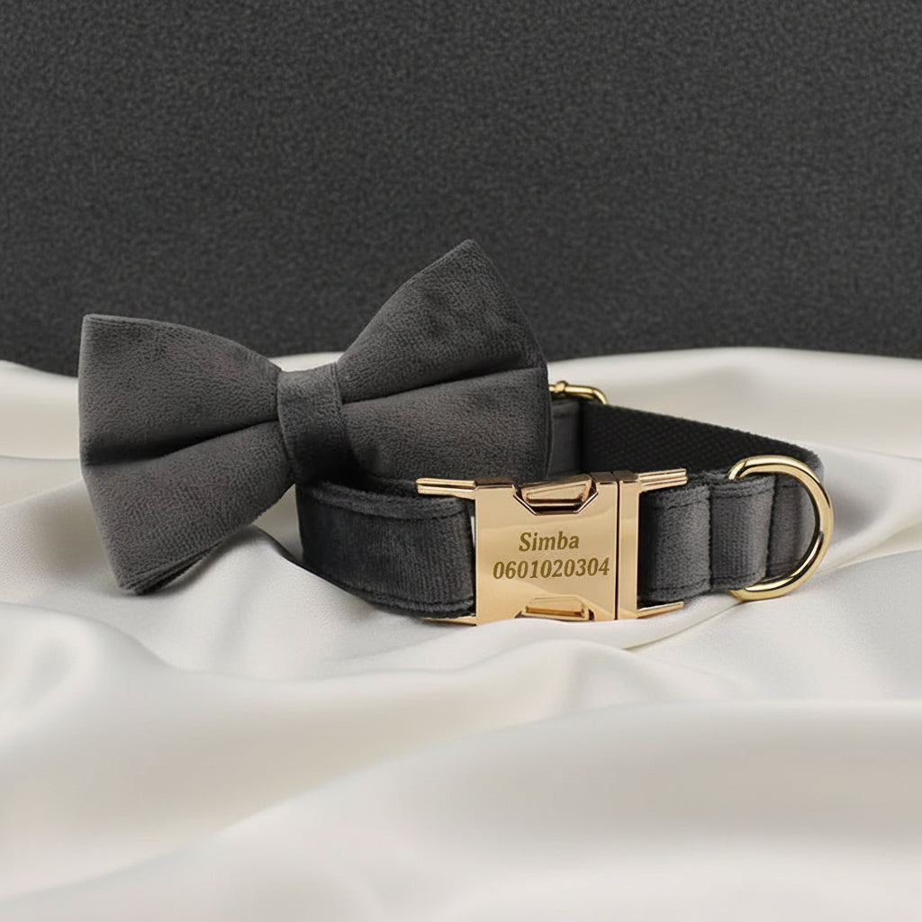 Collier Chien Personnalisé - Gris Souris