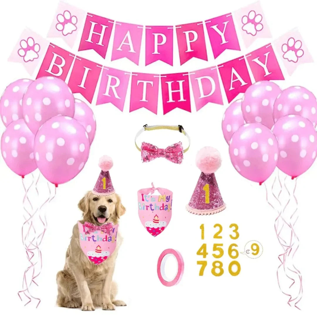 Kit anniversaire pour animaux