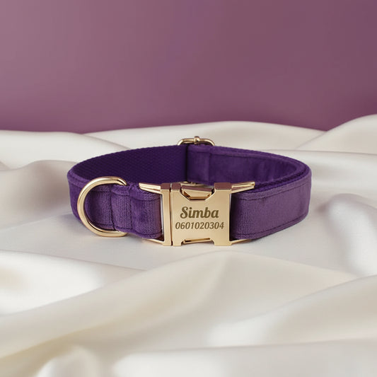 Collier Chien Personnalisé - Violet Majesté
