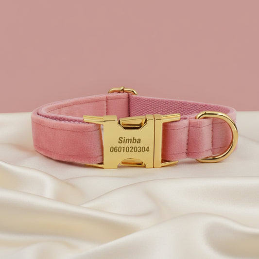 Collier Chien Personnalisé - Rose Poudré