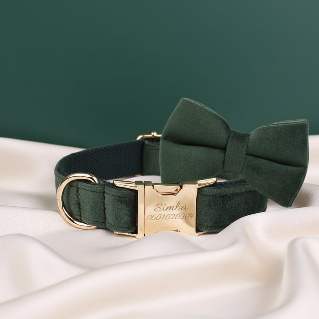 Collier Chien Personnalisé - Vert Émeraude