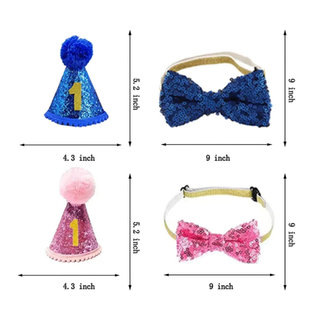 Kit anniversaire pour animaux