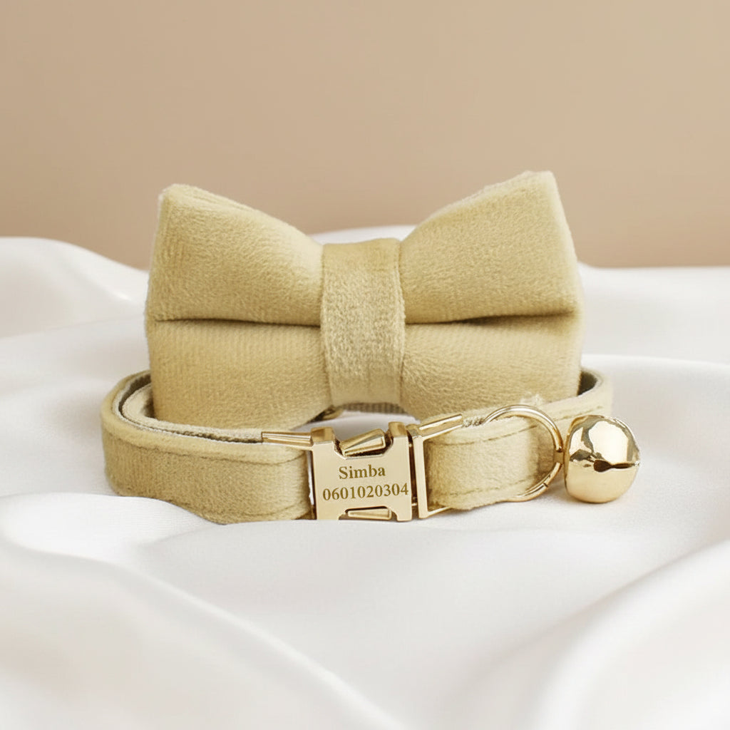 Collier Chat Personnalisé Velours - Or Sablé