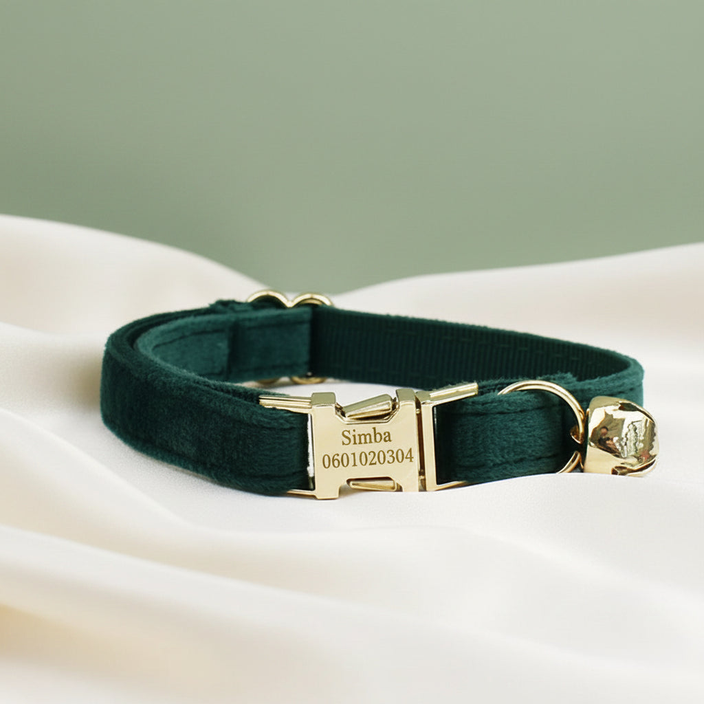 Collier Chat Personnalisé Velours - Vert Émeraude