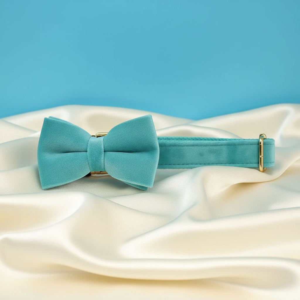 Collier Chien Personnalisé - Turquoise Lagon