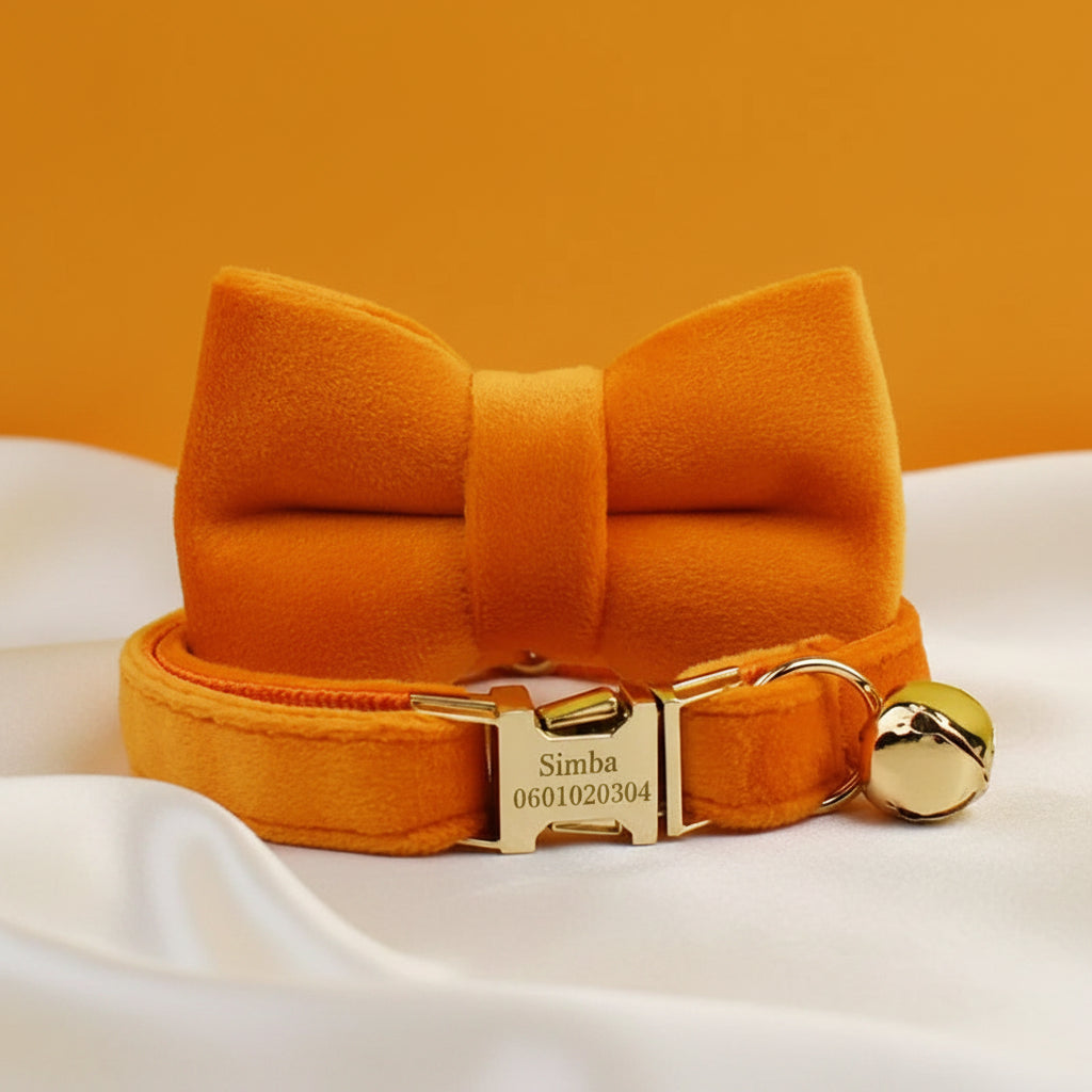 Collier Chat Personnalisé Velours - Orange Cuivré